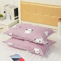 Sleepy Bear 枕套枕头套双人单人学生宿舍枕芯套48x74cm一对装