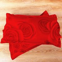 Sleepy Bear 磨毛斜纹枕套一对48x76cm加大成人枕套 家庭宿舍枕套 双人大枕套