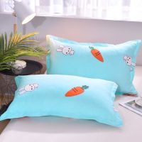 Sleepy Bear 磨毛加厚枕套成人一对枕头套棉布枕芯套单人枕皮学生宿舍床枕头套
