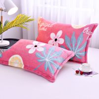 Sleepy Bear 珊瑚绒枕套一对装法莱绒法兰绒枕芯套加厚保暖枕头套48x74cm1只装