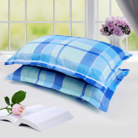 Sleepy Bear 一只装单人成人学校学生磨毛枕套一对装带拉链