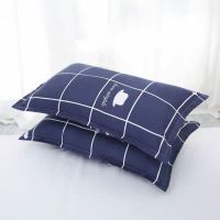 Sleepy Bear 枕头套枕套一对单人加大加厚枕芯套成人儿童枕头罩学生宿舍枕皮罩