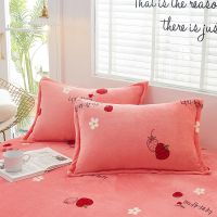 Sleepy Bear 加绒法兰绒枕套双人一对装成人单人珊瑚绒枕头皮一只装学生48x74