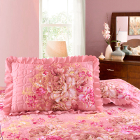 Sleepy Bear 枕头套夹棉枕套加厚拉链式学生单人枕头套48x74厘米一对装