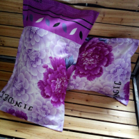 Sleepy Bear 秋冬枕套枕头套一对装成人情侣单人加大号加厚学生宿舍枕芯套