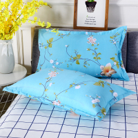 Sleepy Bear 枕套42*70单人磨毛情侣加厚枕头套拉锁枕套一对装成人学生枕芯套