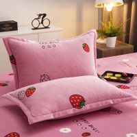 Sleepy Bear 枕头套装枕套一对珊瑚绒枕套法兰绒加厚双面绒一对装枕套冬季保暖