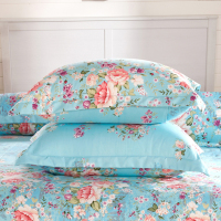 Sleepy Bear 枕套一对装磨毛高支高密42*70成人枕头套48*74加大学生枕芯套