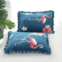 Sleepy Bear 水晶绒珊瑚绒枕套一对装夹棉加厚毛绒枕头套子单双人法兰绒枕芯套