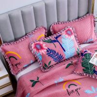 Sleepy Bear 水晶绒加厚夹棉枕头套一对装保暖绒枕套枕巾暖绒短毛绒单双人秋冬