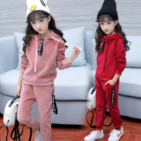 睿娃童装中大童女童金丝绒套装秋冬装双面绒小女孩加厚儿童运动两件套