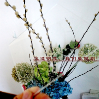 高透明亚克力板有机玻璃板白黑色加工塑料板定做折弯印刷雕刻盒子 30cm x 20cm x 5mm厚