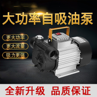 电动抽油泵12V24V220V大功率大自吸泵齿轮泵柴油加油机 12V600W大 减速泵
