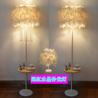 网红水晶羽毛白色立式落地灯婚庆客厅书房卧室床头台灯主播补光灯
