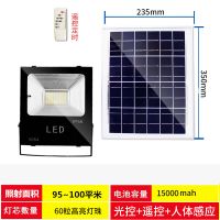 太阳能路灯户外庭院投光灯遥控闪电客家用led灯节能新农村照明路灯 100W/LED灯芯+遥控+智能光控 5米线