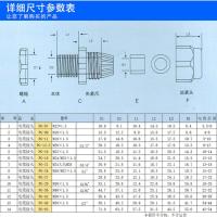 尼龙塑料电缆接头德制闪电客PG9/11/13.5/16电缆锁头固定头葛兰头 PG-11(100个/包)