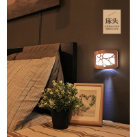 LED红外人体自动感应灯光控走道玄关闪电客走廊装电池的光感调光小夜灯