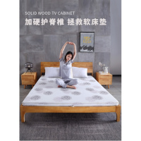 床垫硬垫偏硬天然椰棕经济型棕榈闪电客儿童薄护脊棕垫硬棕定做任意尺寸