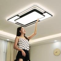客厅灯简约现代大气家用亮2020年闪电客新款led北欧吸顶灯具屋套餐