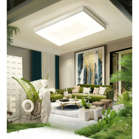 客厅灯简约现代家用长方形大灯圆形闪电客简单大方卧室led灯具套餐