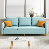 客厅小户型布艺沙发北欧简约现代闪电客公寓出租屋服装店双人三人小沙发