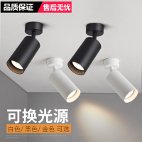 明装射灯闪电客可调角度单个家用小吸顶式轨道灯聚光射灯LED天花灯筒灯