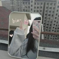 工匠时光折叠化妆镜ins风网红小镜子便携学生可调节北欧风挂墙公主大镜子