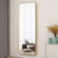 工匠时光镜子全身挂墙家用穿衣镜壁挂粘贴网红全身镜女生卧室试衣镜免打孔