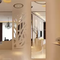 工匠时光全身镜穿衣镜贴墙全身镜粘贴卫浴镜子舞蹈化妆组合镜试衣镜子