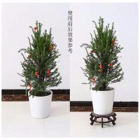 工匠时光花盆底座托架实木茶壶花瓶石头奇石香炉木托盘架圆形摆件底座实木