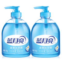 蓝月亮野菊花清爽洗手液500g*2