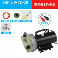 农用12v高压水泵洗车水泵自吸泵闪电客高压打药机五缸隔膜泵打果园水泵 12V五缸泵(用电池)送喷枪