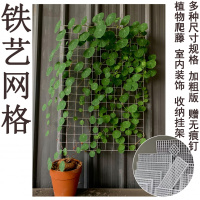 山乌龟爬藤架铁艺网格北欧风爬藤网格室内软装藤蔓植物爬墙网装饰