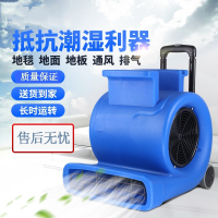 吹地面风机工业大功率藤印象酒店地毯烘干机地板WC厕所吹干机CB900E