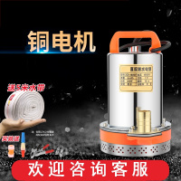 12V24V48V60V72V直流潜水泵抽水泵藤印象家用农用刷车电动车