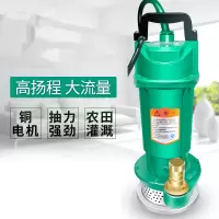 家用潜水泵220V抽水机井用清水泵藤印象户外浇灌抽水泵农用污水泵