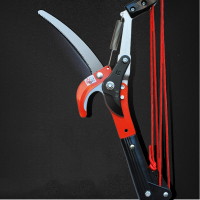 藤印象高枝剪高枝锯伸缩高空修枝剪摘果剪果树锯剪树枝修剪刀园林工具