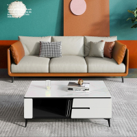 藤印象科技布艺沙发组合现代简约网红轻奢大小户型客厅木整装家具