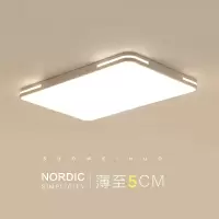藤印象薄客厅灯简约现代大气长方形大灯家用灯具led吸顶灯