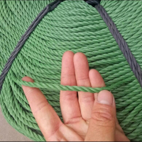 尼龙绳捆绑绳子晾衣绳养殖绳拉树绳户外用绳大棚压膜绳 3毫米100米