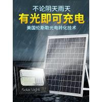 太阳能灯大功率户外庭院灯家用新农村亮室内天黑自动亮光伏路灯