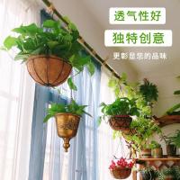 椰棕吊篮花盆悬挂式吊兰花盆创意个性半壁挂钩绿萝多肉垂吊壁挂盆