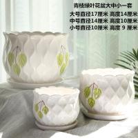 花盆陶瓷创意个性大号特大号清仓特价带托盘家用绿萝多肉花盆批发 青枝绿叶花盆3件 大