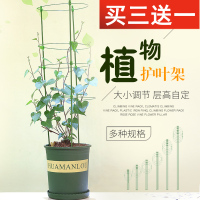护叶架植物固定花架爬架花支架月季绿萝爬藤架花盆支架室内绿植架