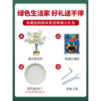 阳台花架子室内多层铁艺客厅家用置物架多肉绿萝花盆架装饰植物架