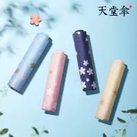 天堂伞黑胶防晒遮阳伞晴雨两用小伞折叠太阳伞女 4#浅灰