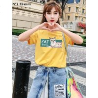 网红ins短袖t恤女2019新款潮上衣半袖韩版超火cec学生宽松百搭夏