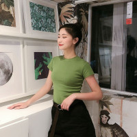 复古显白牛油果绿色圆领修身高腰短袖T恤磨毛/南瓜橘/浅卡其3色入