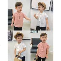 辰辰妈婴童装夏装2019新款男童短袖衬衣1-3-5岁帅气宝宝绅士衬衫