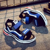 男童凉鞋2019新款中大童韩版女童夏季沙滩鞋儿童学生软底宝宝童鞋